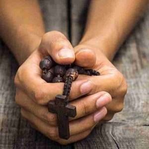 Meet your Posher, Adelaida